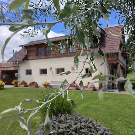 Promschhof Apartment *