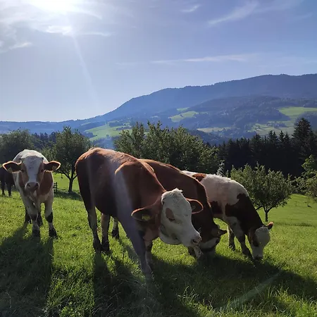 Promschhof Appartement Semriach