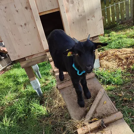 Promschhof * Semriach