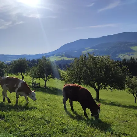 Promschhof Appartement Semriach