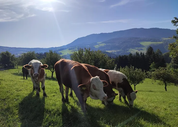 Promschhof Apartament Semriach