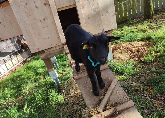 Promschhof * Semriach