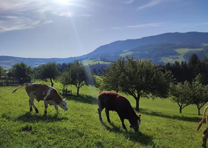 Promschhof Apartament Semriach