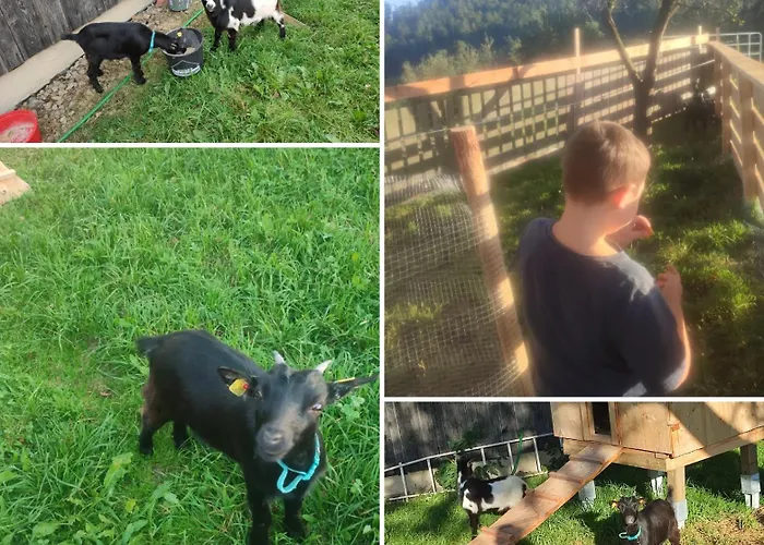 Promschhof * Semriach