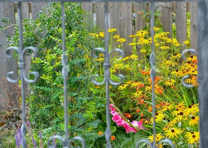 Apartament Promschhof