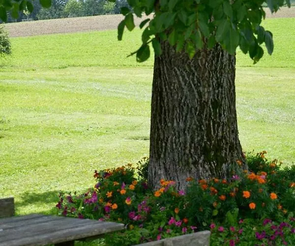 Promschhof Apartament